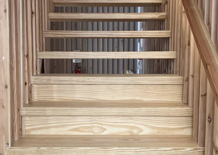 Matriz 55, & 호스텔