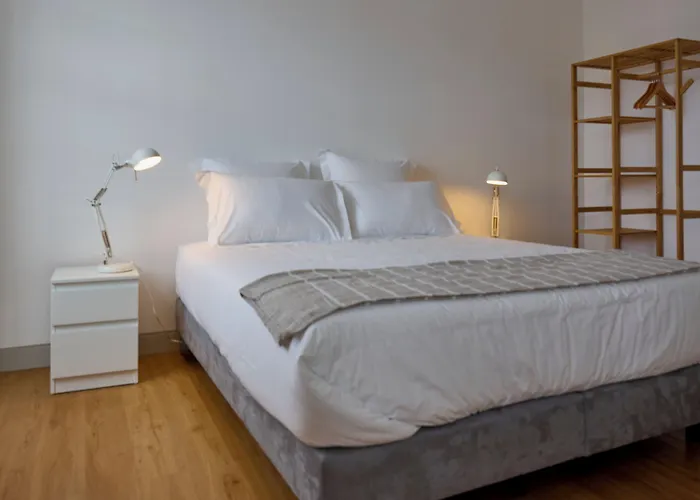 Matriz 55, & 호스텔