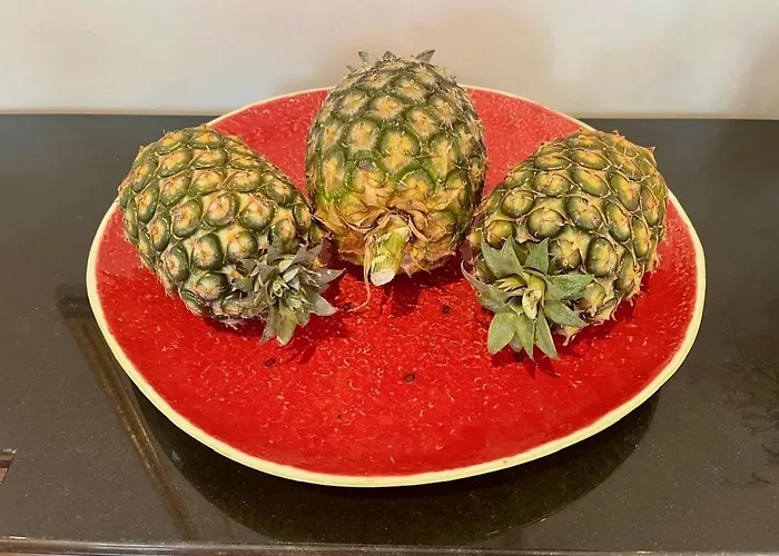 Matriz 55, & Hostel Ponta Delgada (Sao Miguel)